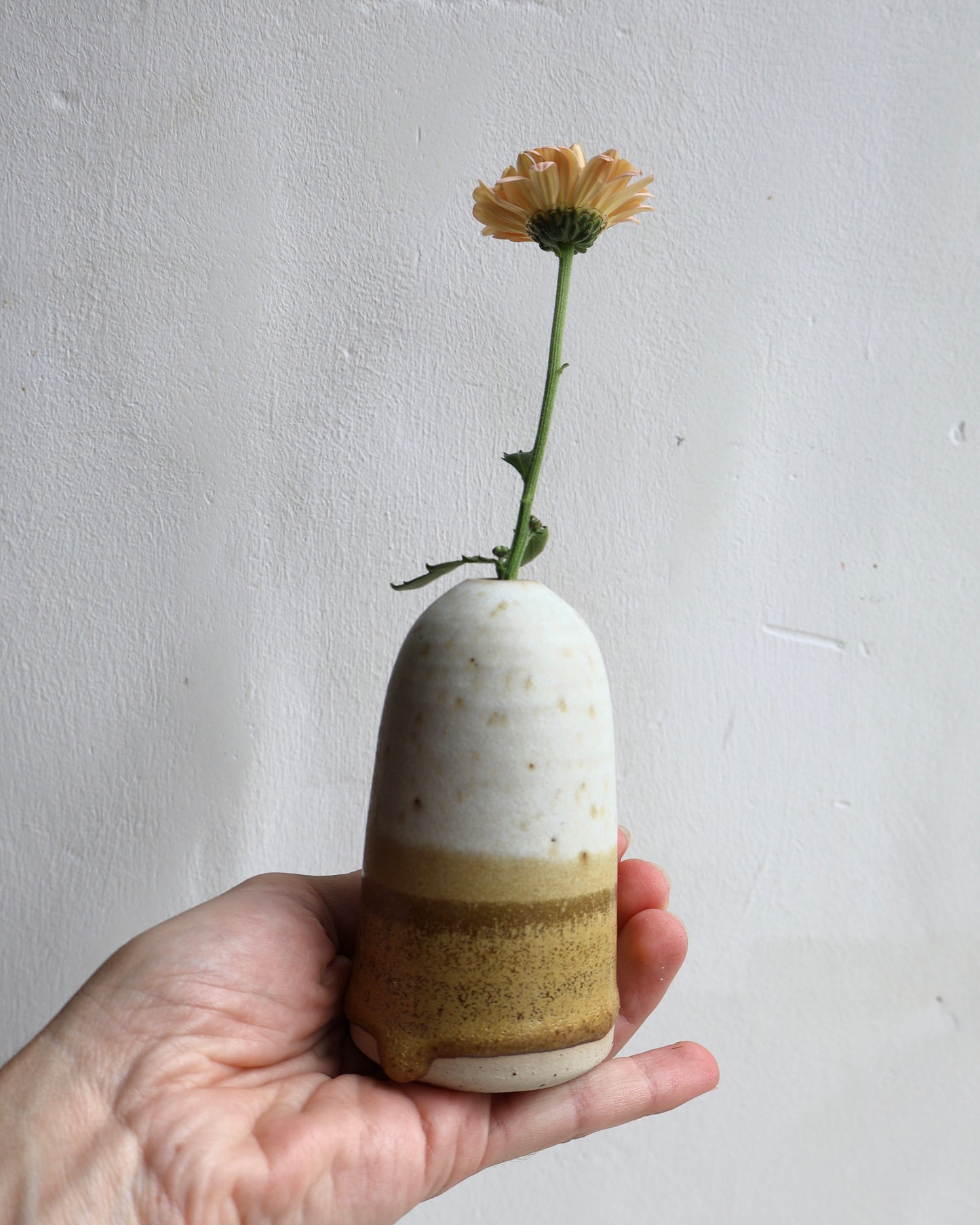 Vase in Matte White and Brown