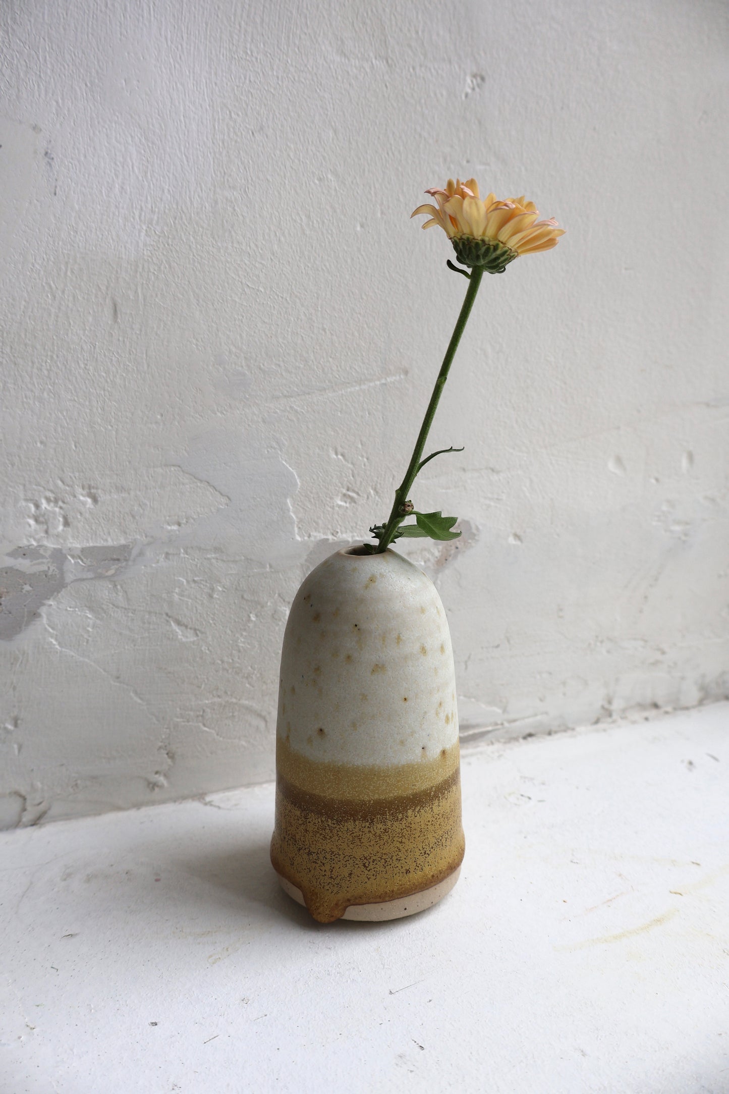 Vase in Matte White and Brown