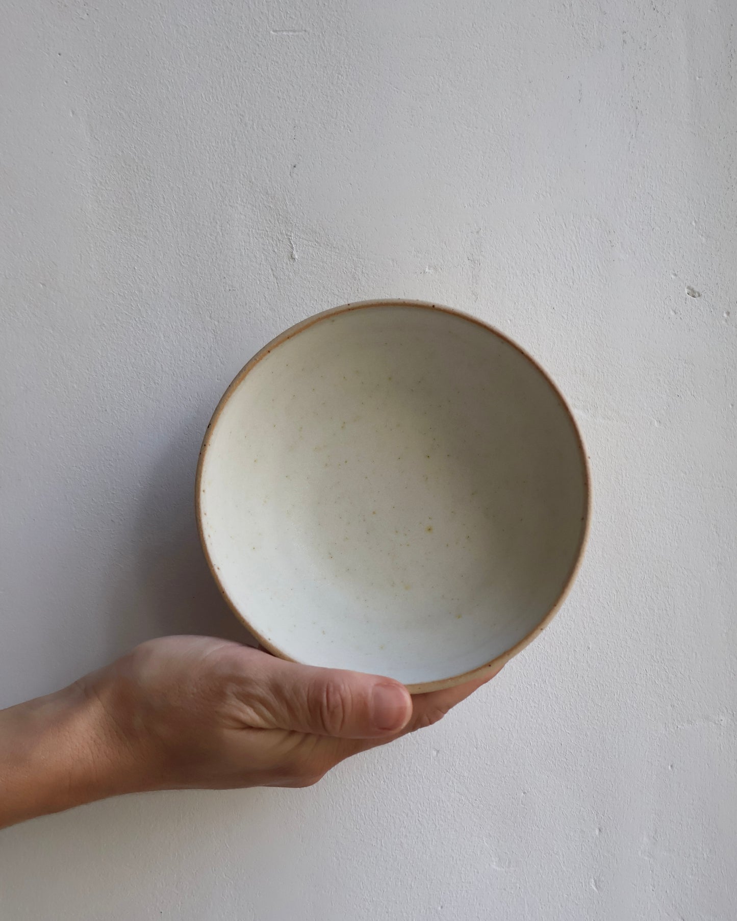 Tapas Bowl in Dove