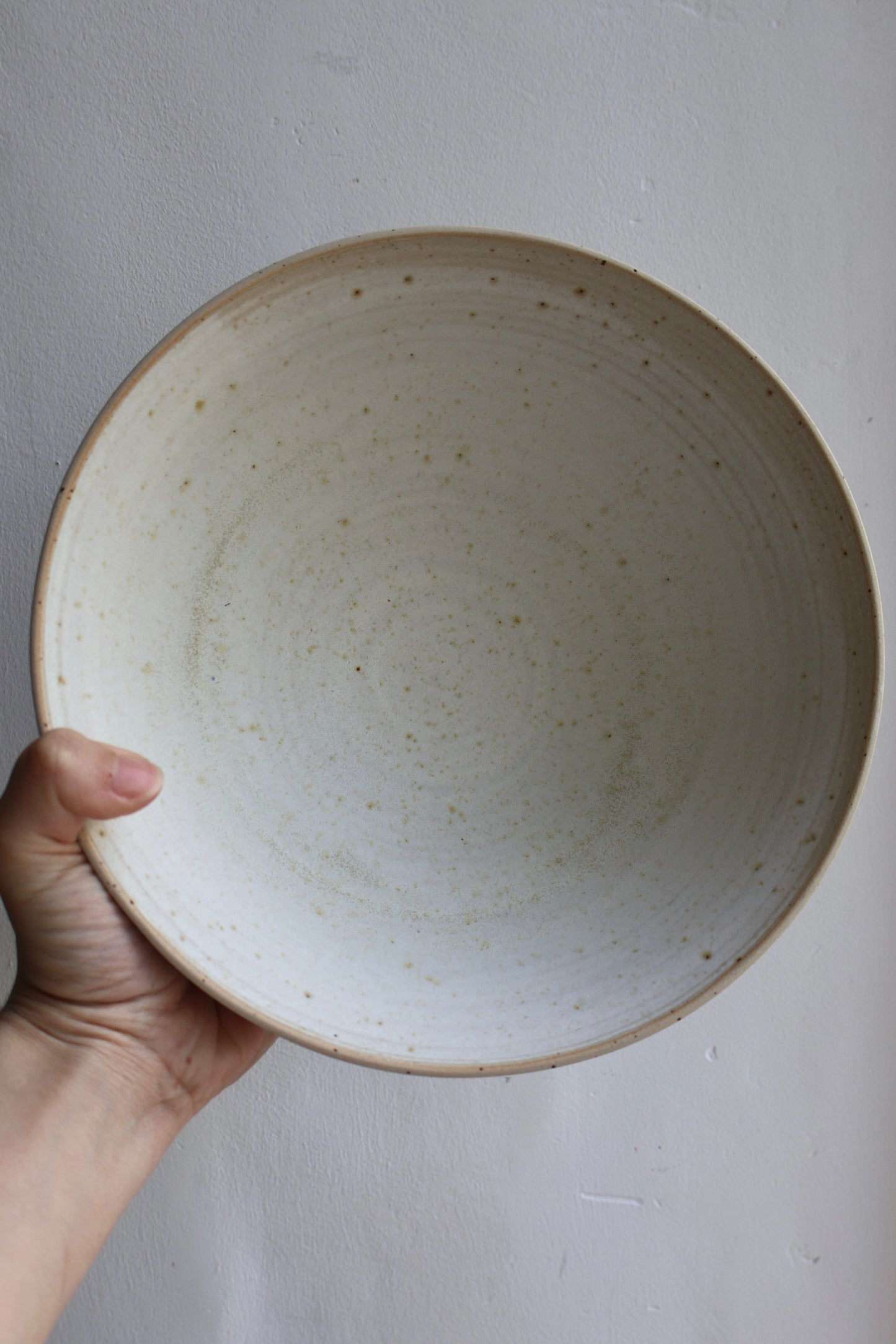 Big Bowl in Dove