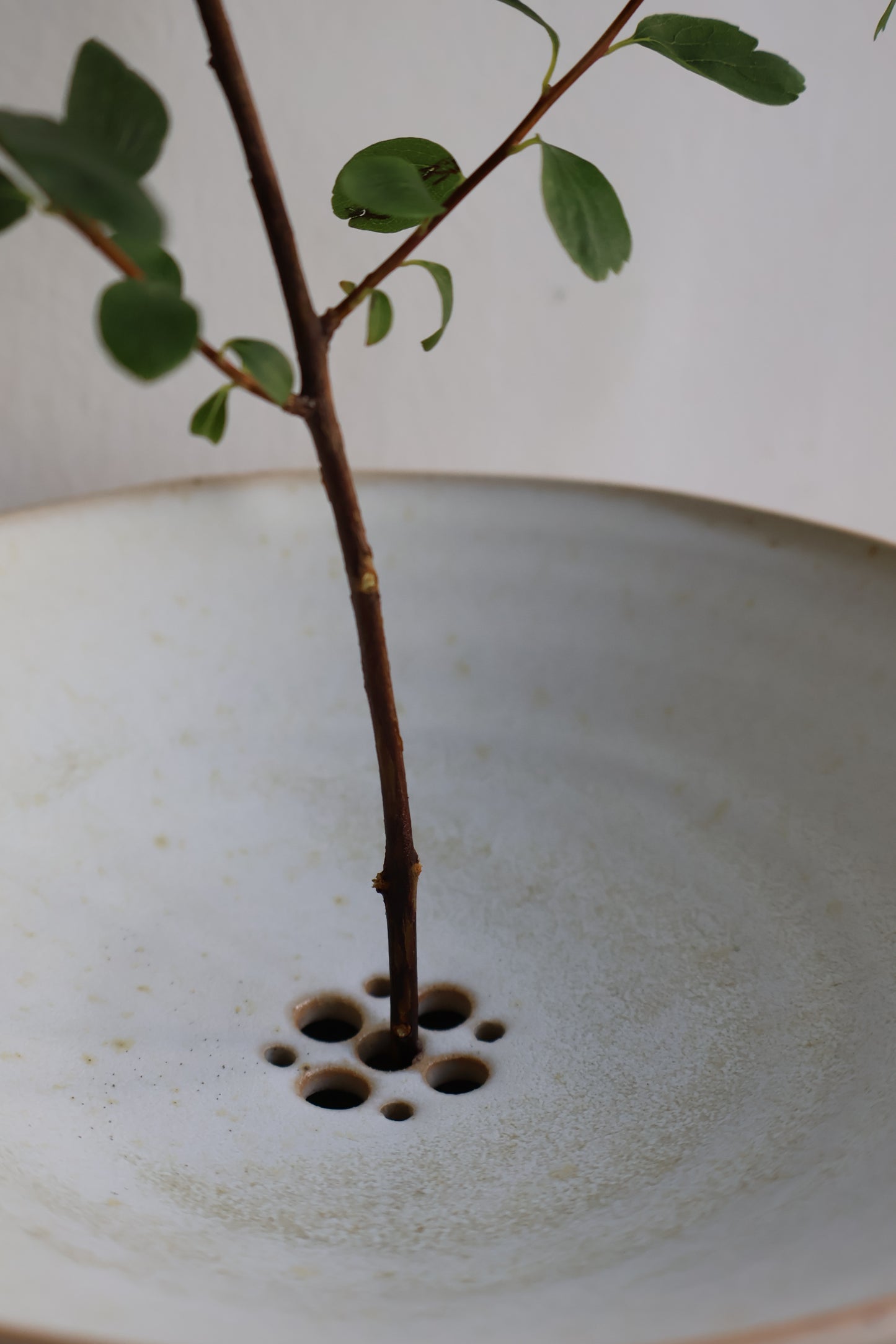 Floral Pedestal Vase in Dove