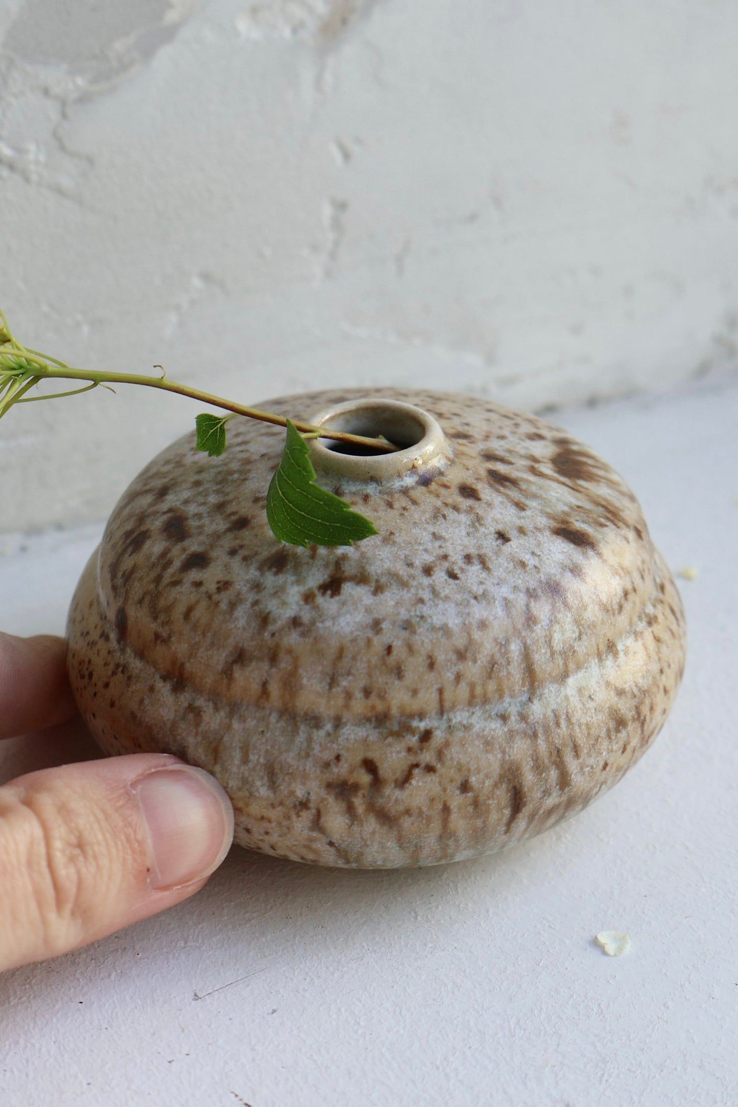 Bud Vase in Birch