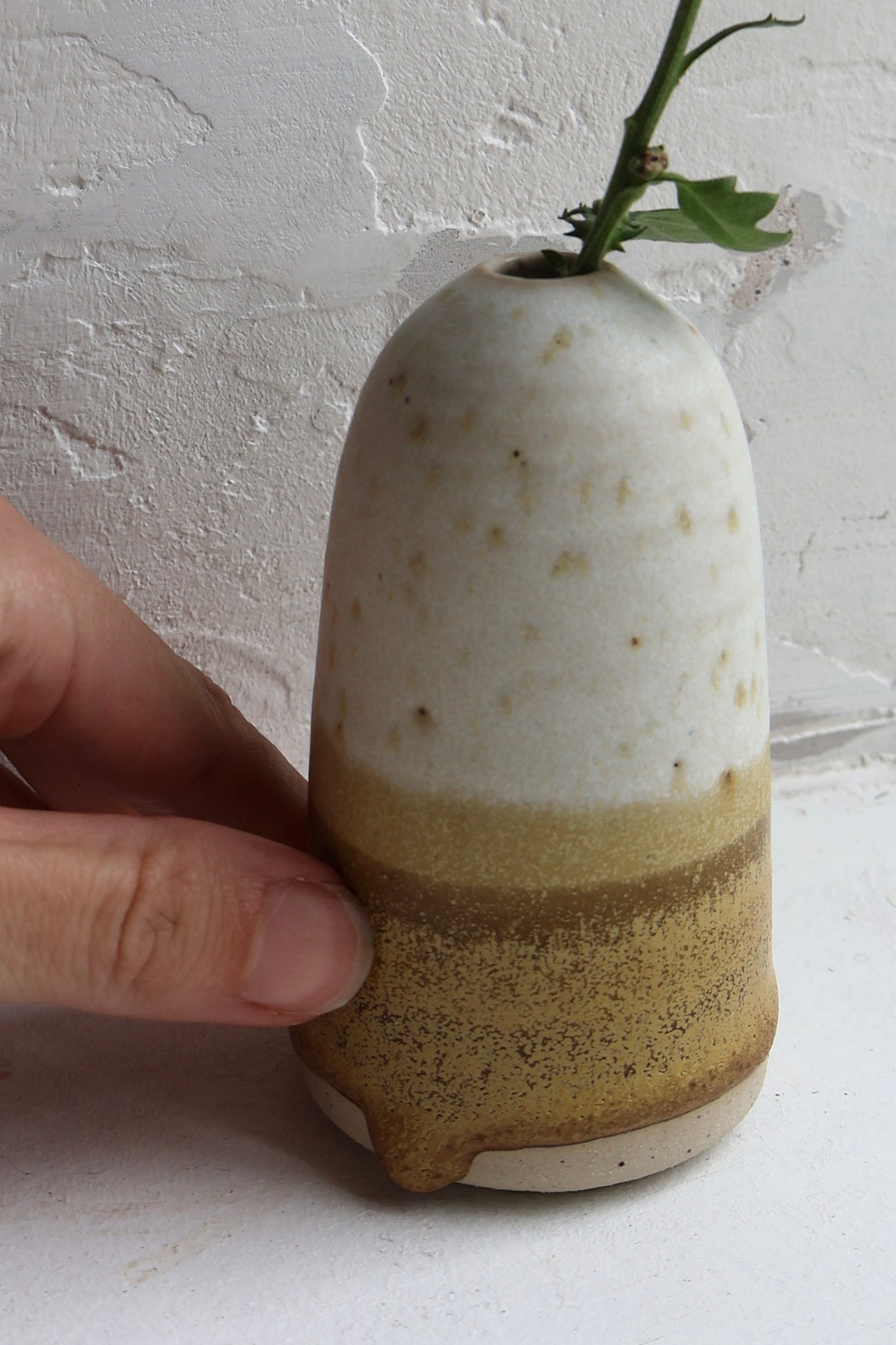 Vase in Matte White and Brown