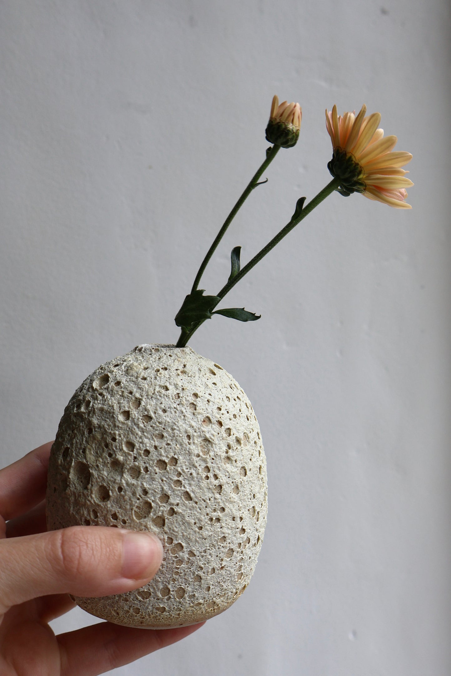 Yin Yang Lava Vases - Set of 2
