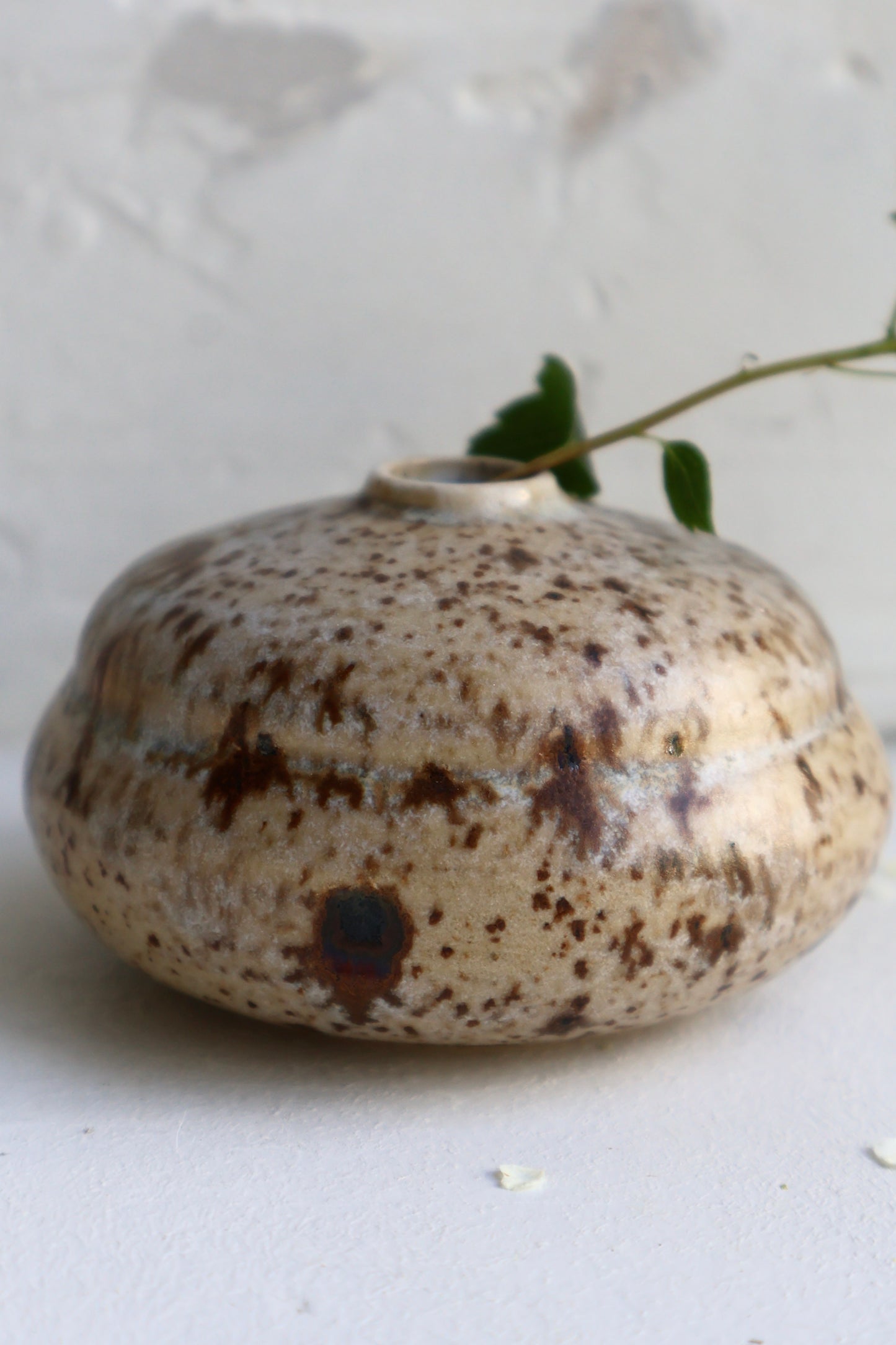 Bud Vase in Birch