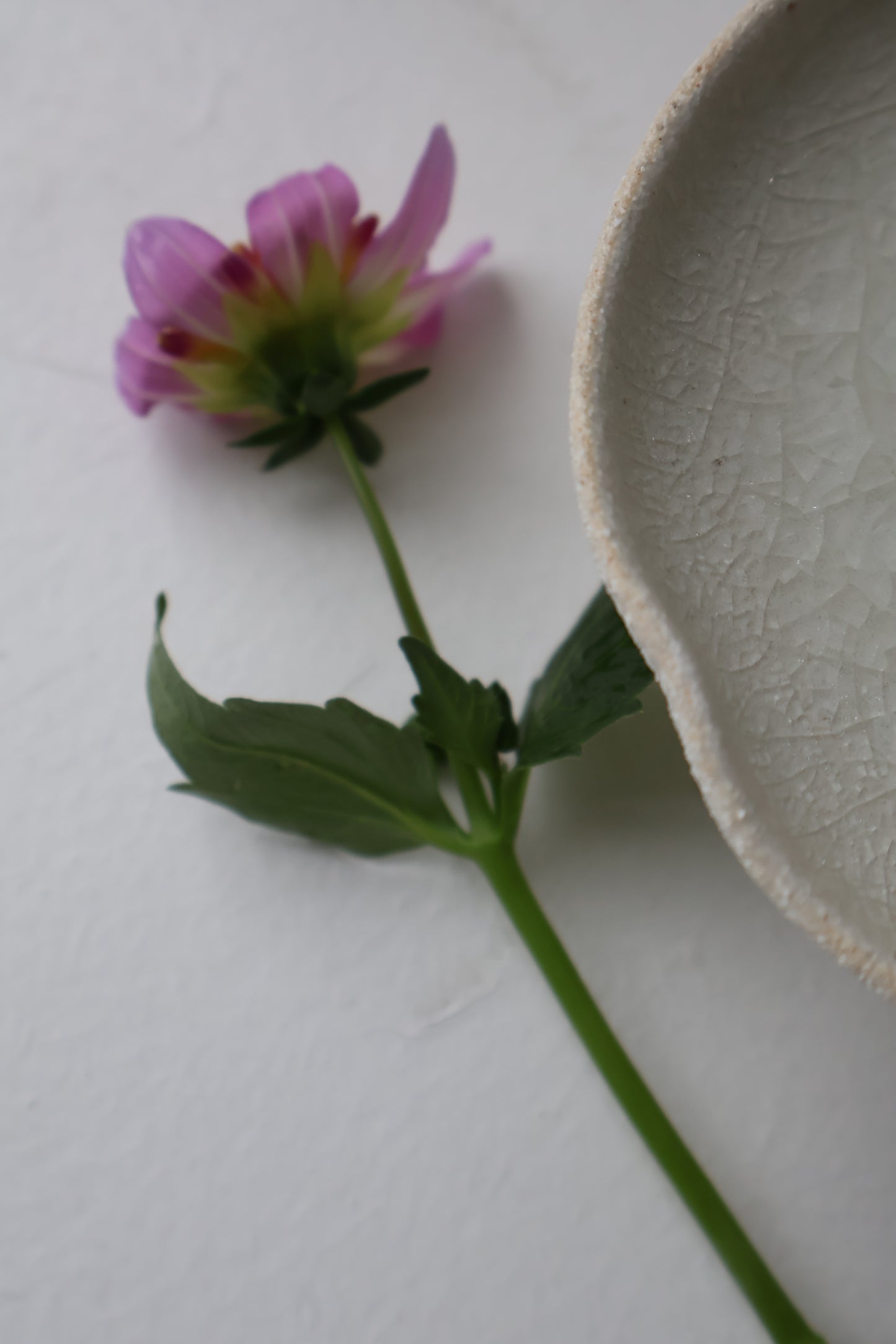 Floral Pedestal Vase in Crackled Glaze
