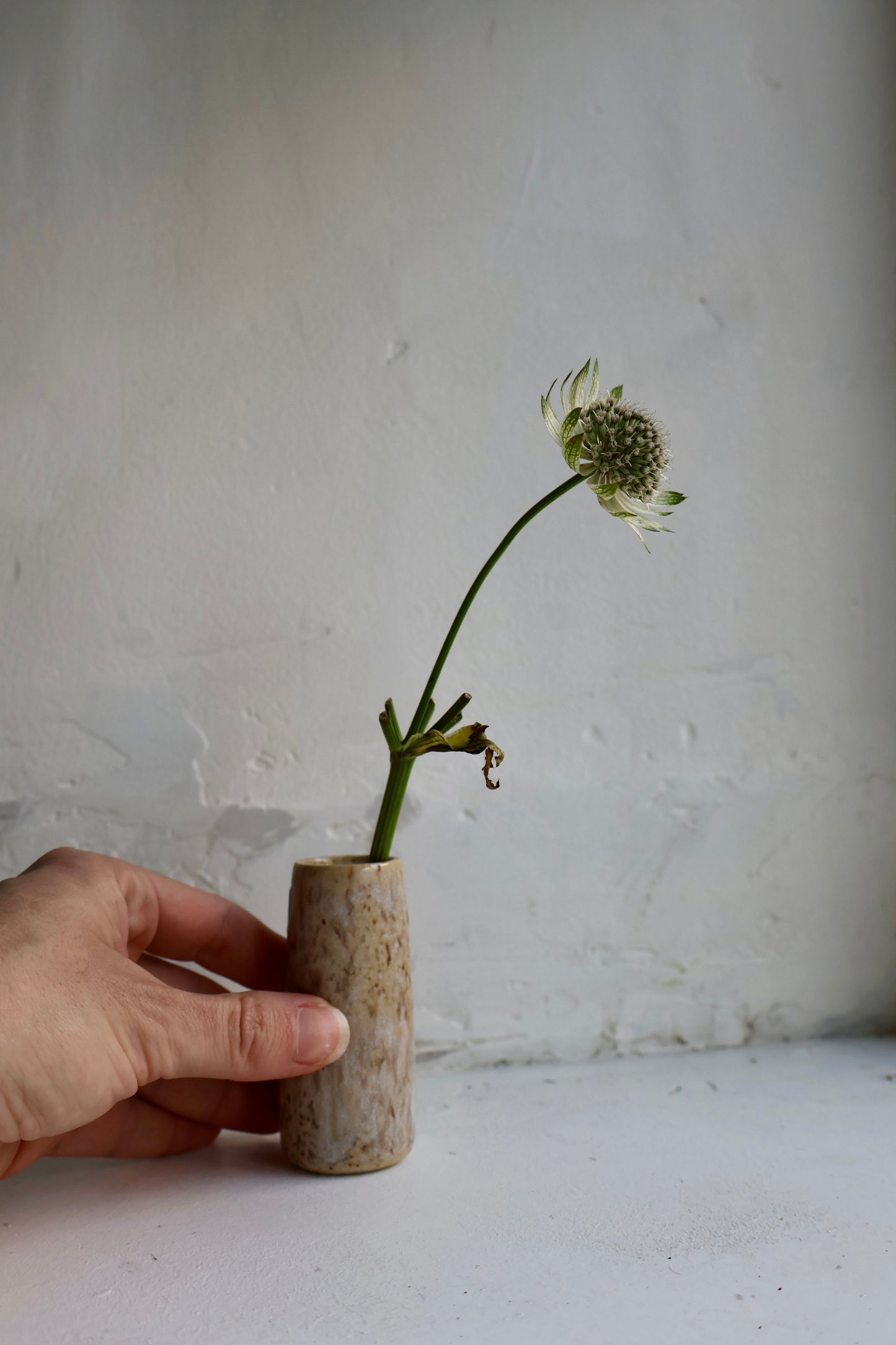 Mini Vase in Ash Drift