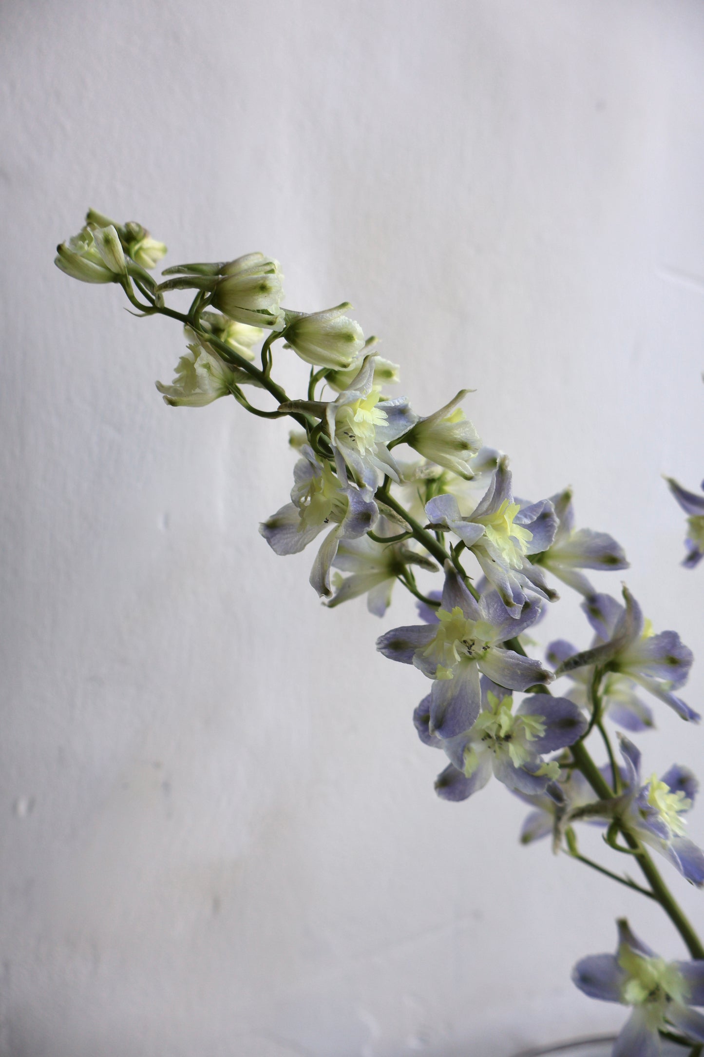 Ikebana Vase 21cm⌀