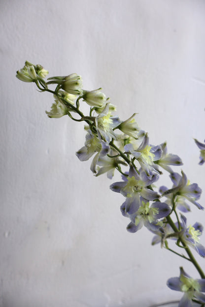 Ikebana Vase 21cm⌀