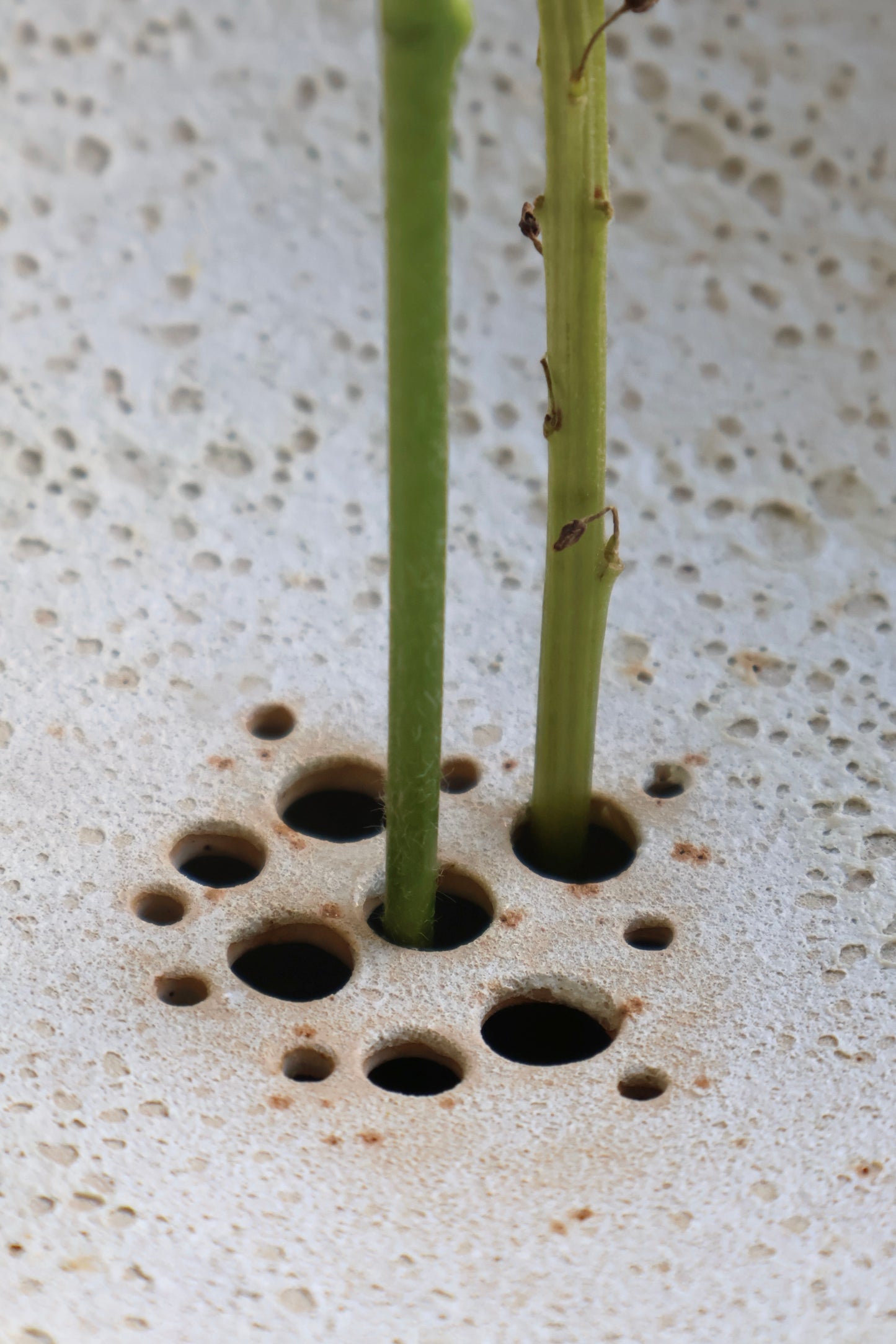 Ikebana Vase 26cm⌀