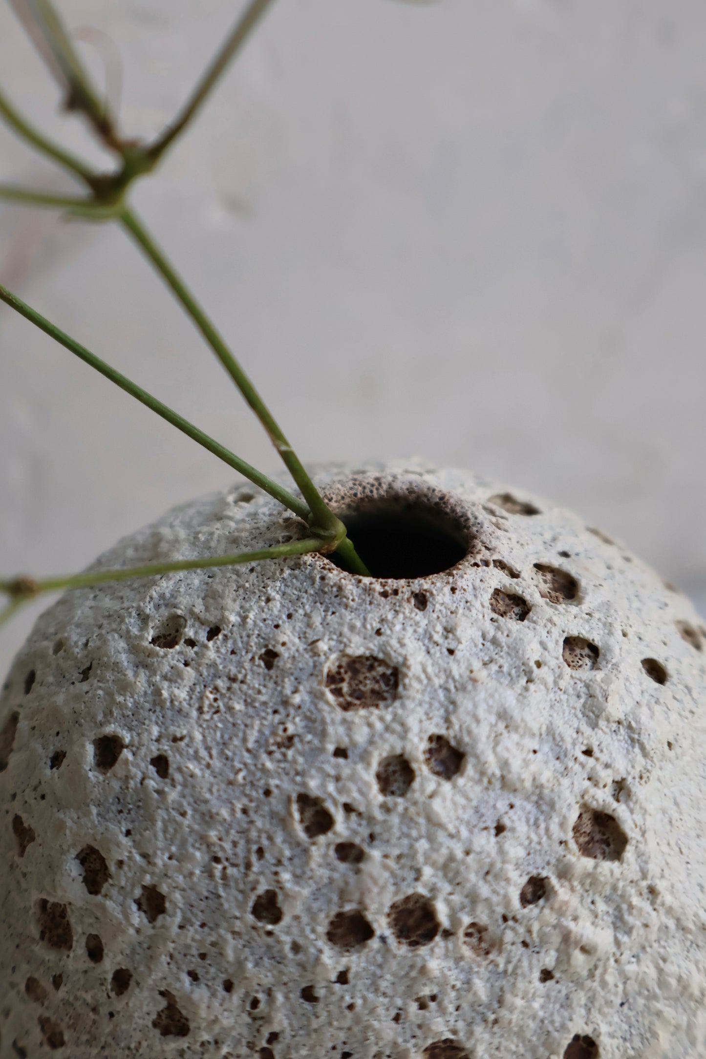 Bud Vase in a Matte White