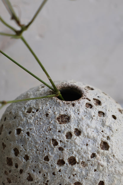 Bud Vase in a Matte White