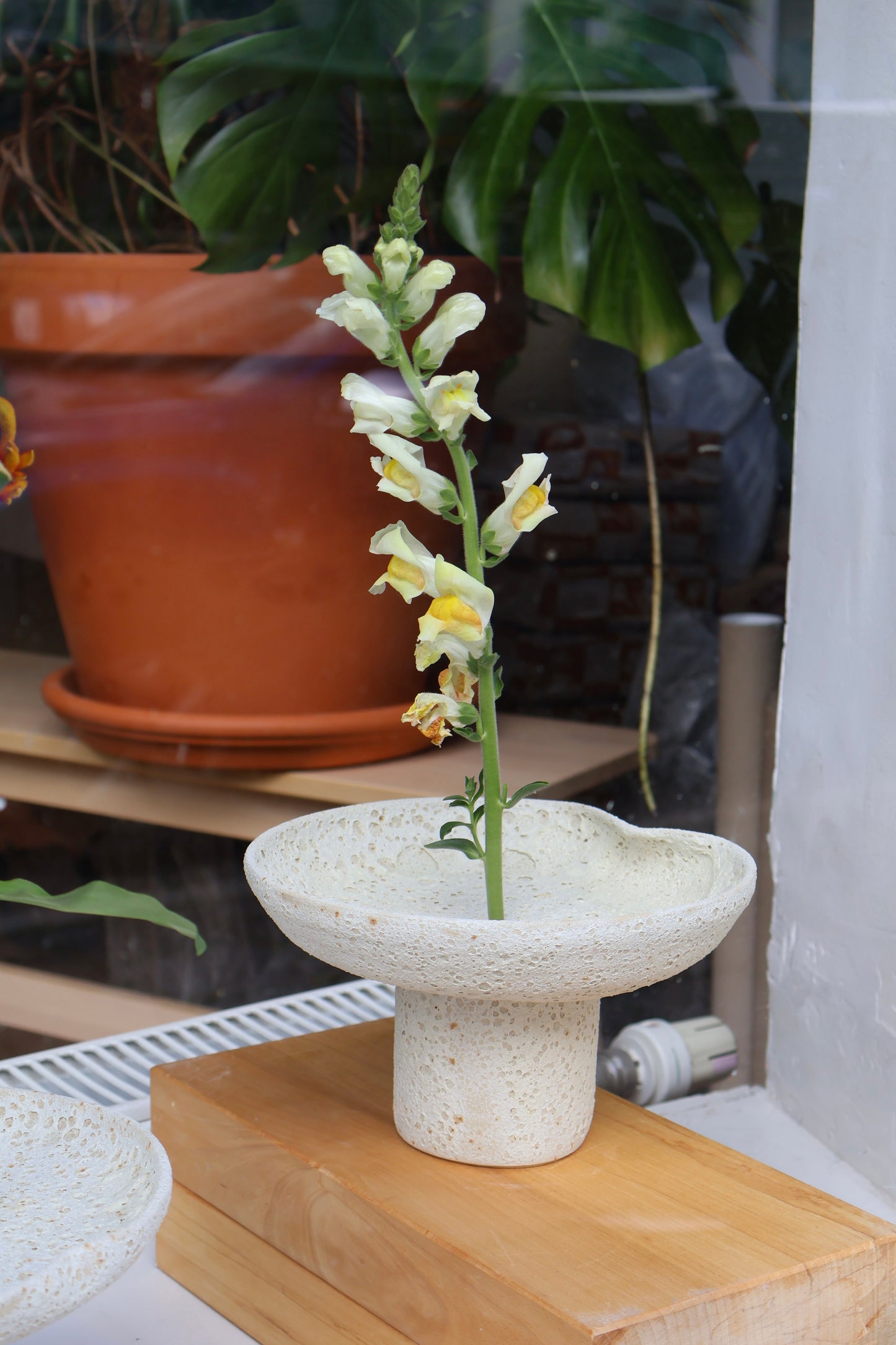 Ikebana Vase 21Ø