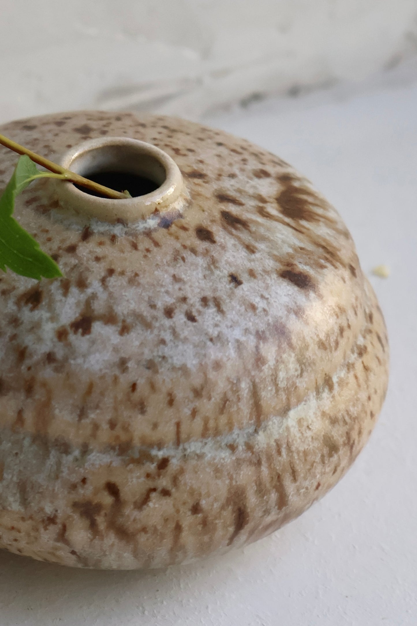Bud Vase in Birch