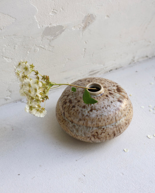 Bud Vase in Birch