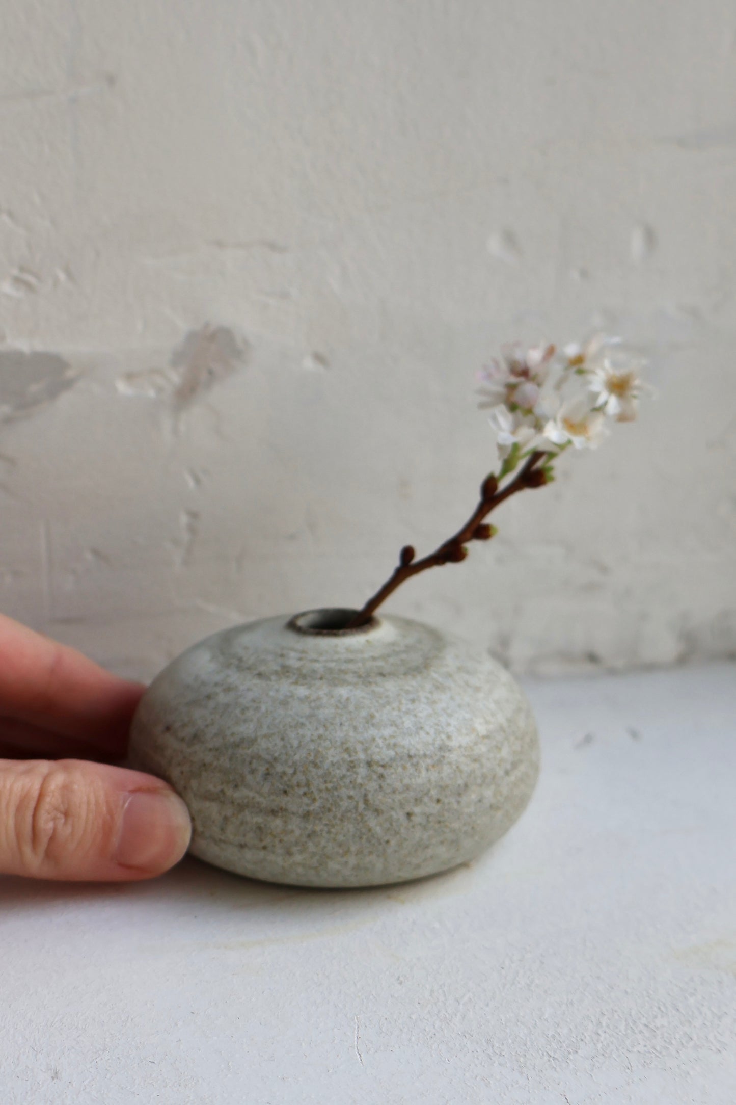 Bud Vase in Matte White