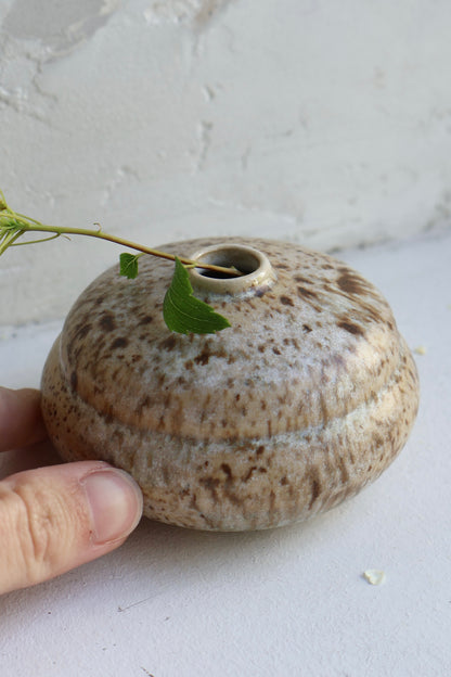 Bud Vase in Birch