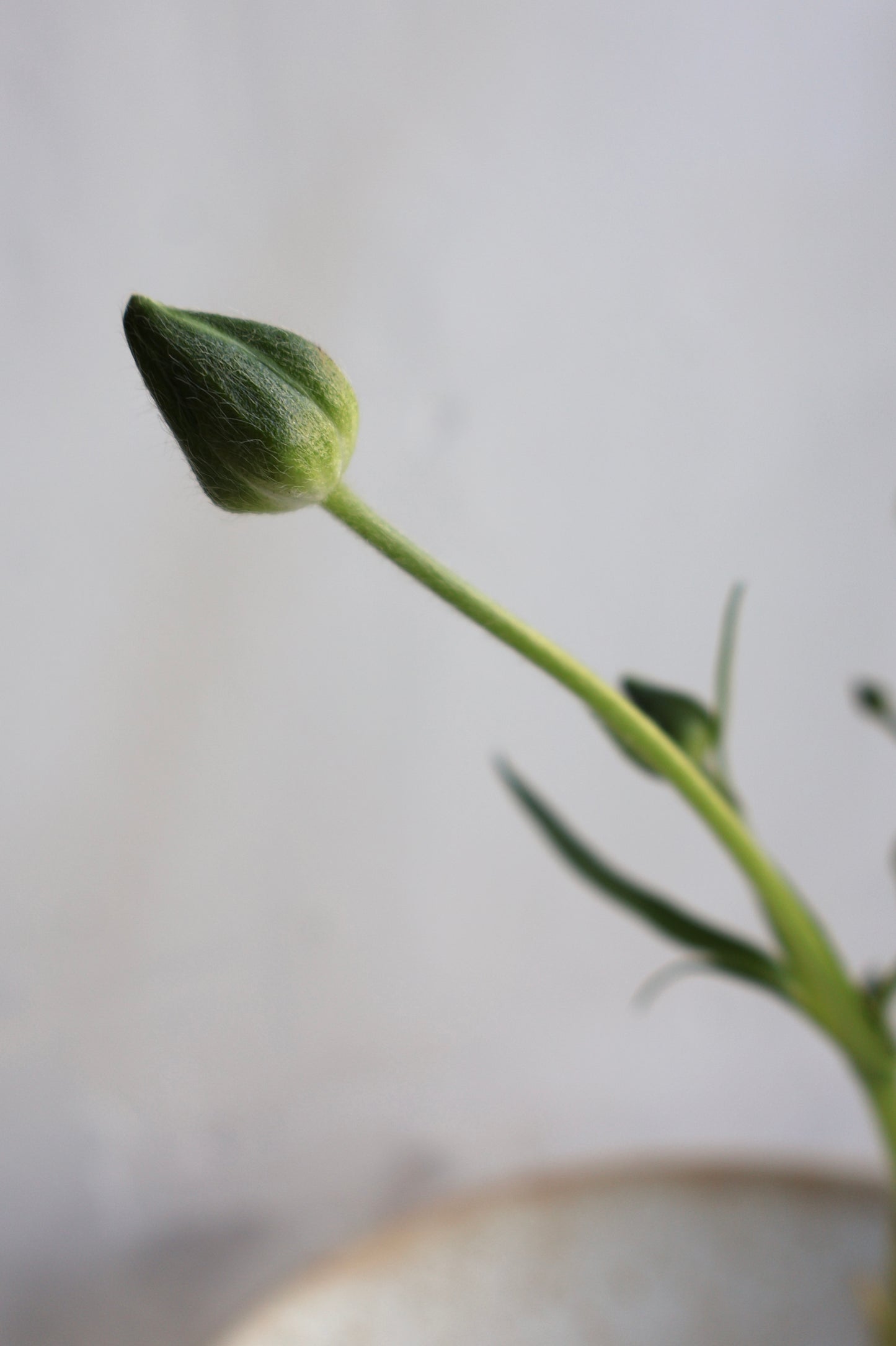 Ikebana Vase 18cm⌀