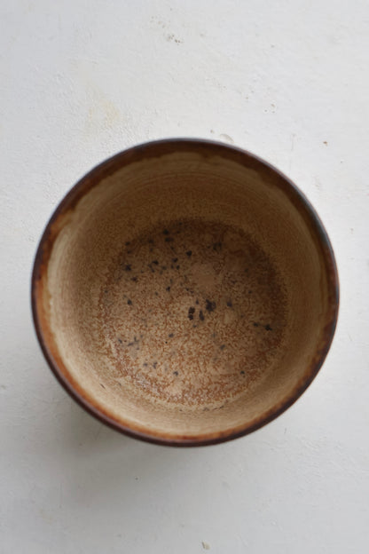 Tumbler in Warm Earth