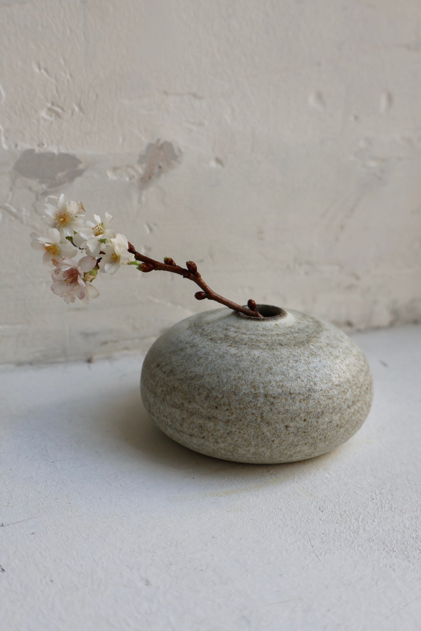 Bud Vase in Matte White