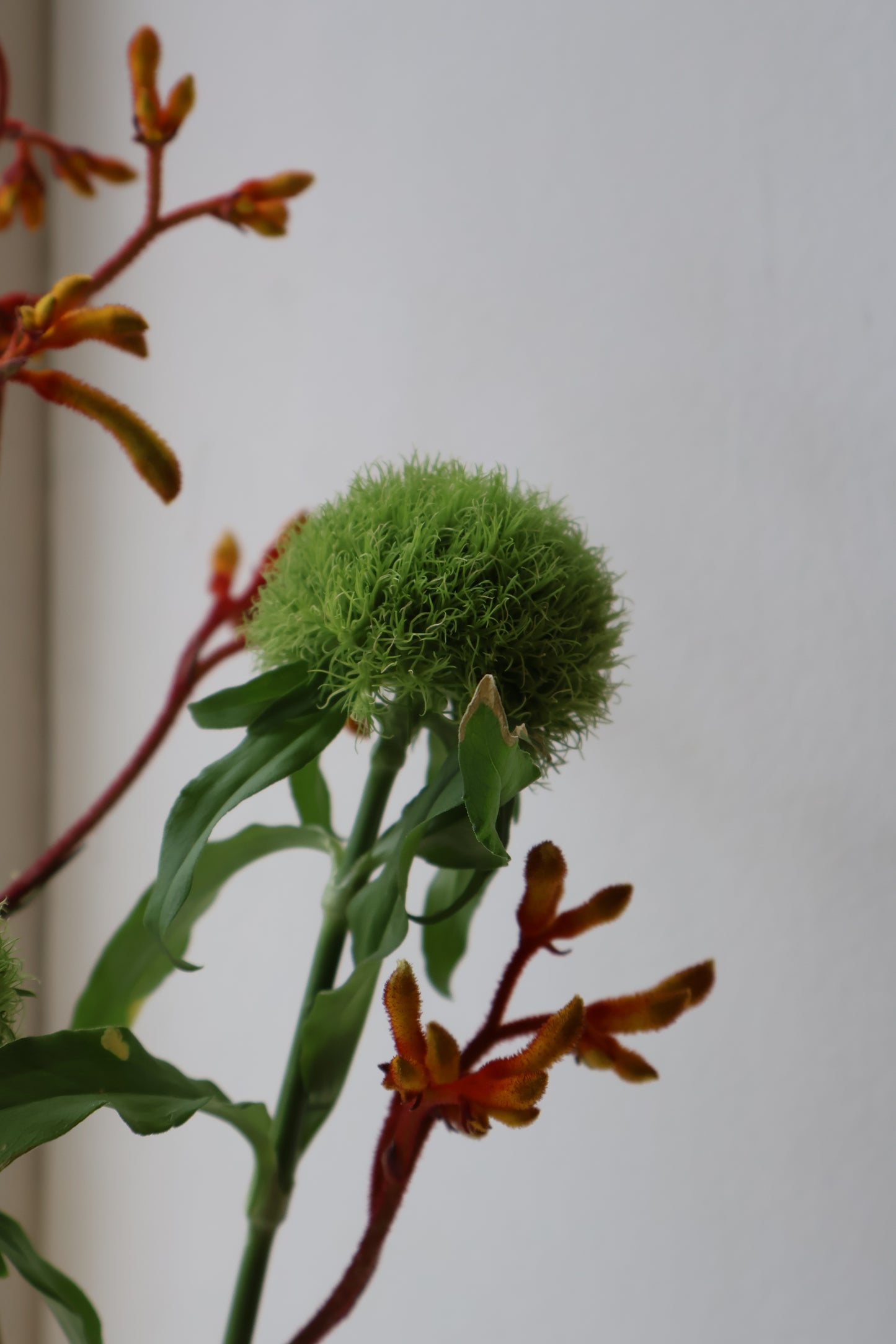 Ikebana Vase 21.5Ø