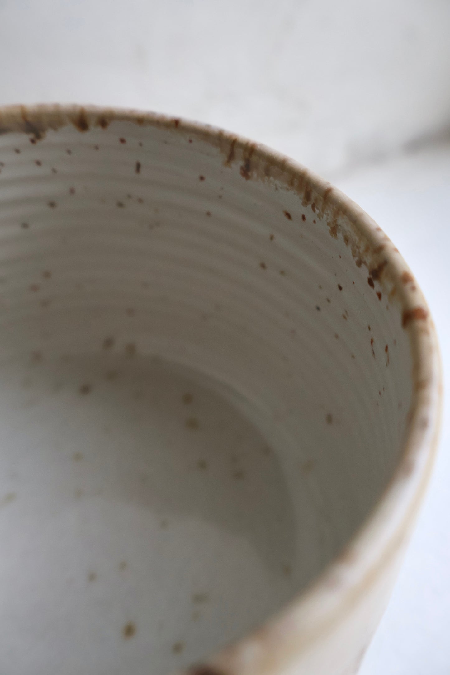 Tapered Cup in Birch