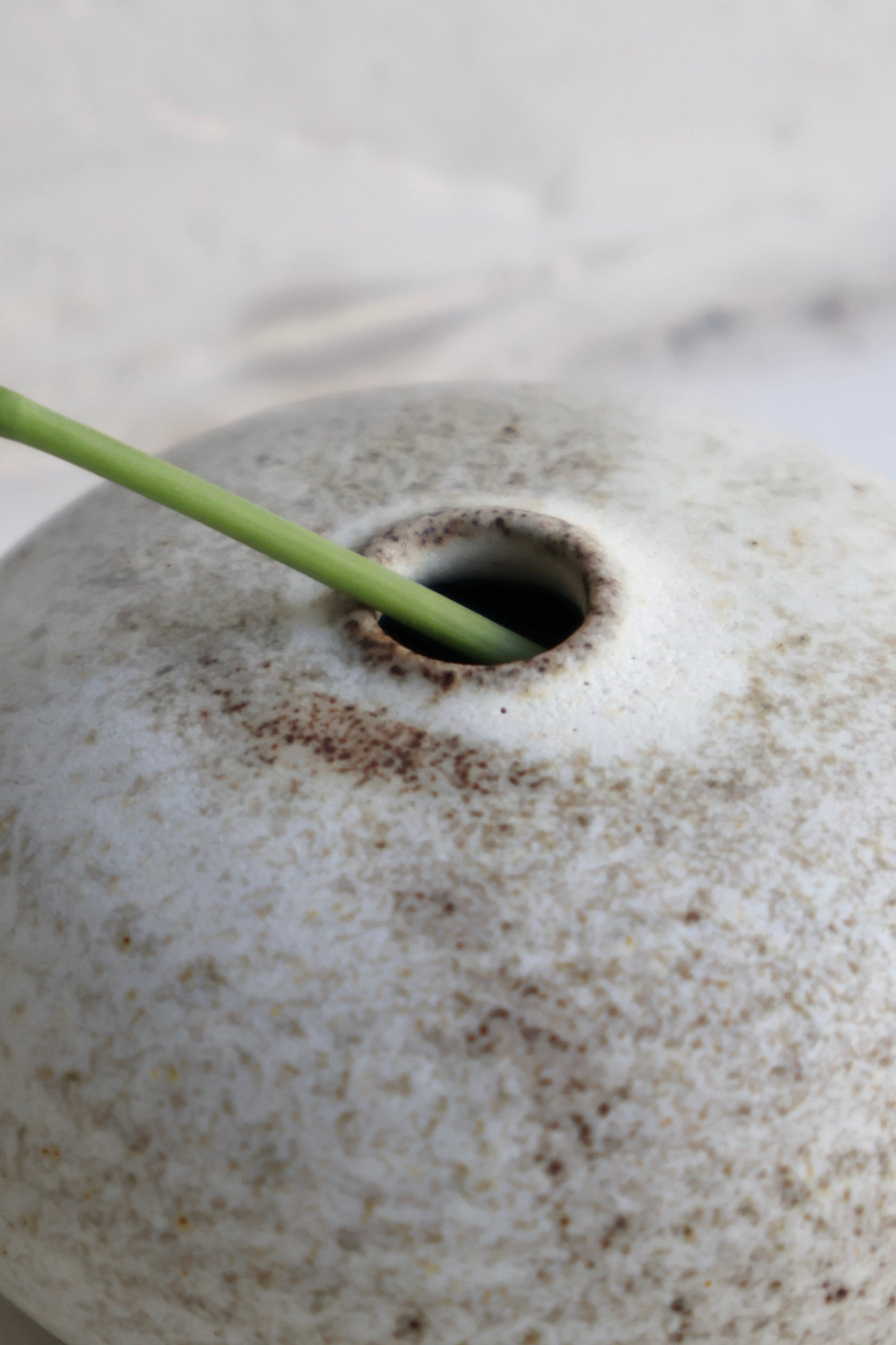 Bud Vase in Matte White