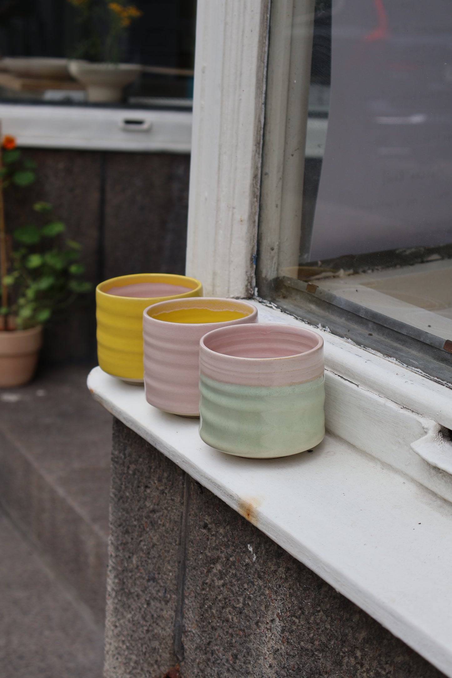 Tumbler in Summer Longing